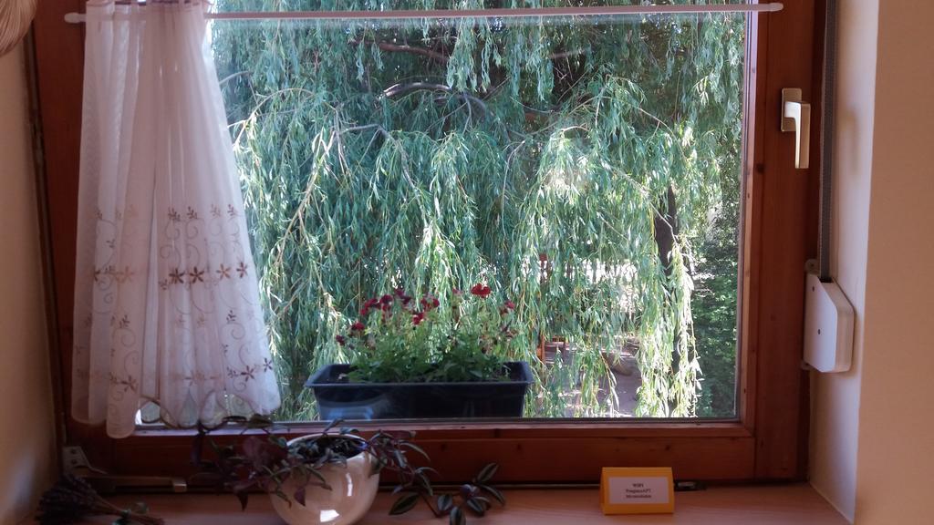 Pongracz Apartman Zirc Dış mekan fotoğraf